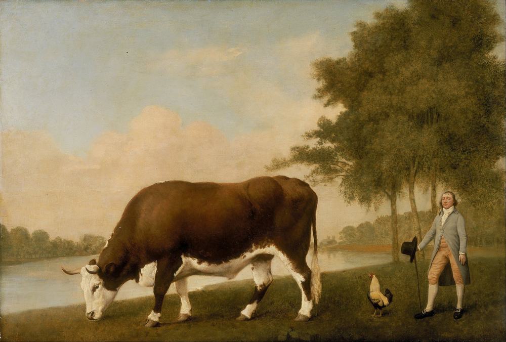 Lincolnshire Ox by George Stubbs, 1724-1806, Walker Art Gallery, Liverpool