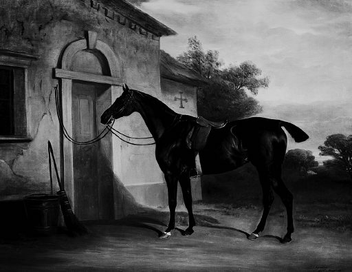 The Bay Horse by John Ferneley, 1782-1860, Tate Gallery, London